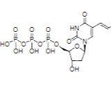 AAT Bioquest iFluor 488-dUTP * 1 mM的Tris缓冲液（pH 7.5）* 货号17044