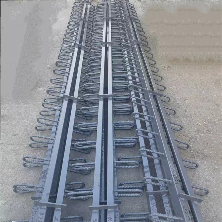 加工定制 桥梁d80型伸缩缝 模数式伸缩缝装置 梳齿板 单组式 尚淇供应