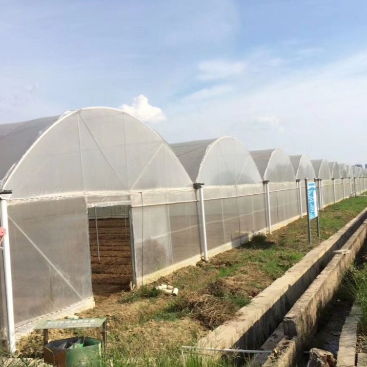 农业种植蔬菜遮阳棚棚外保温养殖薄膜连栋大棚采光性好结构稳定