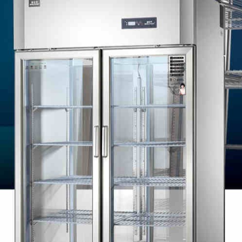 冰立方商用冰箱 AS1.0G4-ST 风冷双通陈列柜 双门风冷展示柜