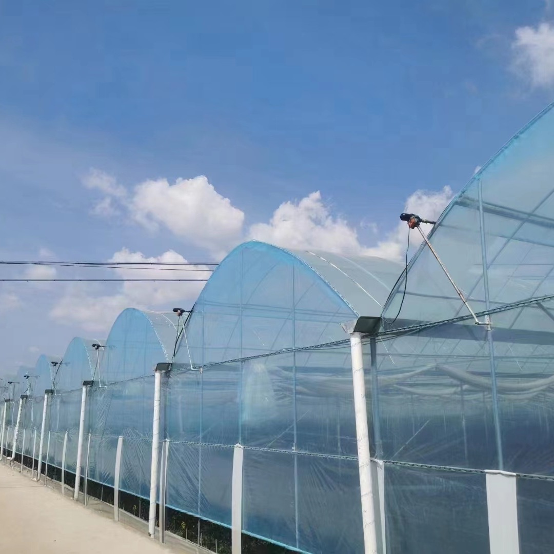 蔬菜水果种植玻璃单体大棚透明温室大棚连体棚建设