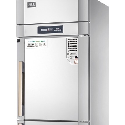 冰立方商用冰箱 RF2欧款立式双温冰箱 上下二门冷藏冷冻冰箱