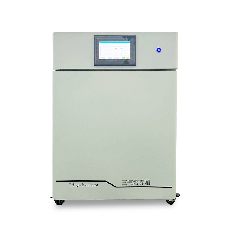 低高氧三种气体细胞培养箱CYSQ-200-III 惰性气体三气培养箱